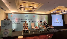 Ambassador Vahagn Afyan delivered a speech at an event organized by UNEP India and RIS